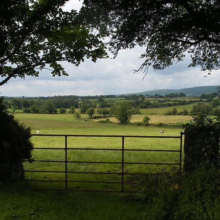 Brandon View House B&B Graiguenamanagh Eksteriør bilde