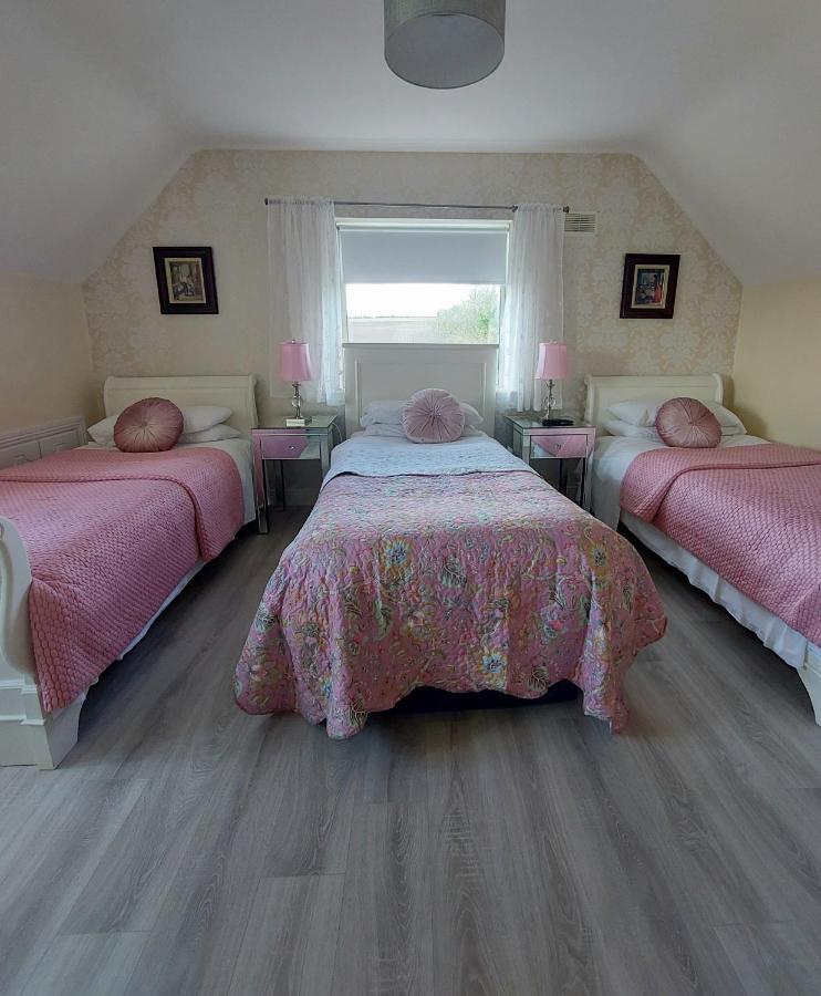 Brandon View House B&B Graiguenamanagh Eksteriør bilde