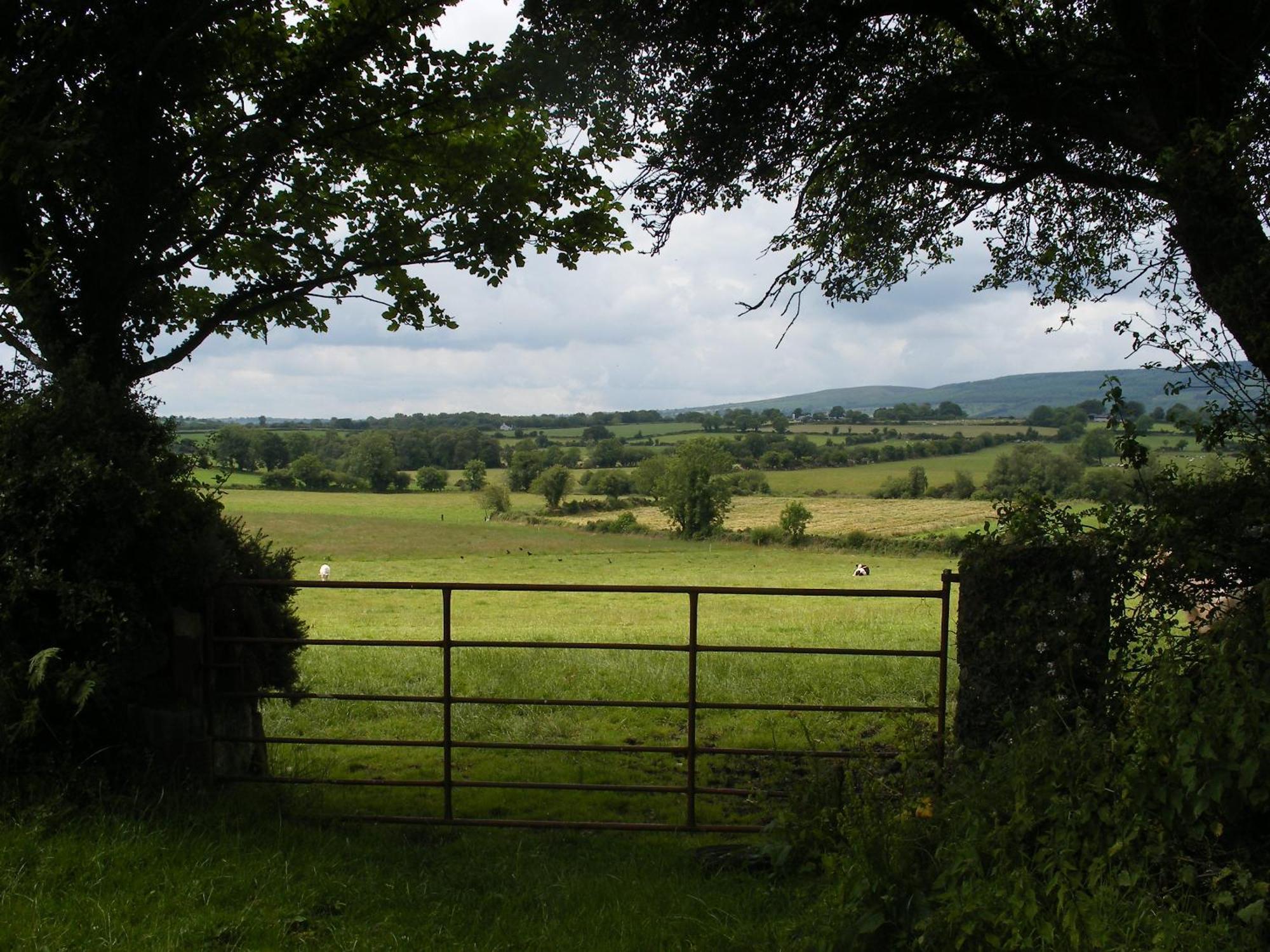 Brandon View House B&B Graiguenamanagh Eksteriør bilde