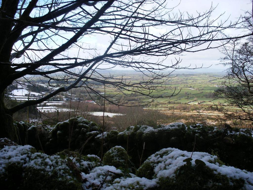 Brandon View House B&B Graiguenamanagh Eksteriør bilde