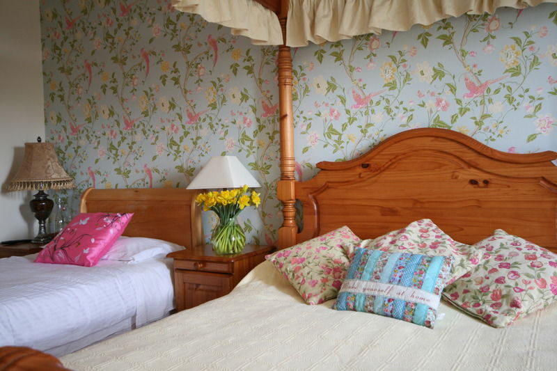 Brandon View House B&B Graiguenamanagh Eksteriør bilde