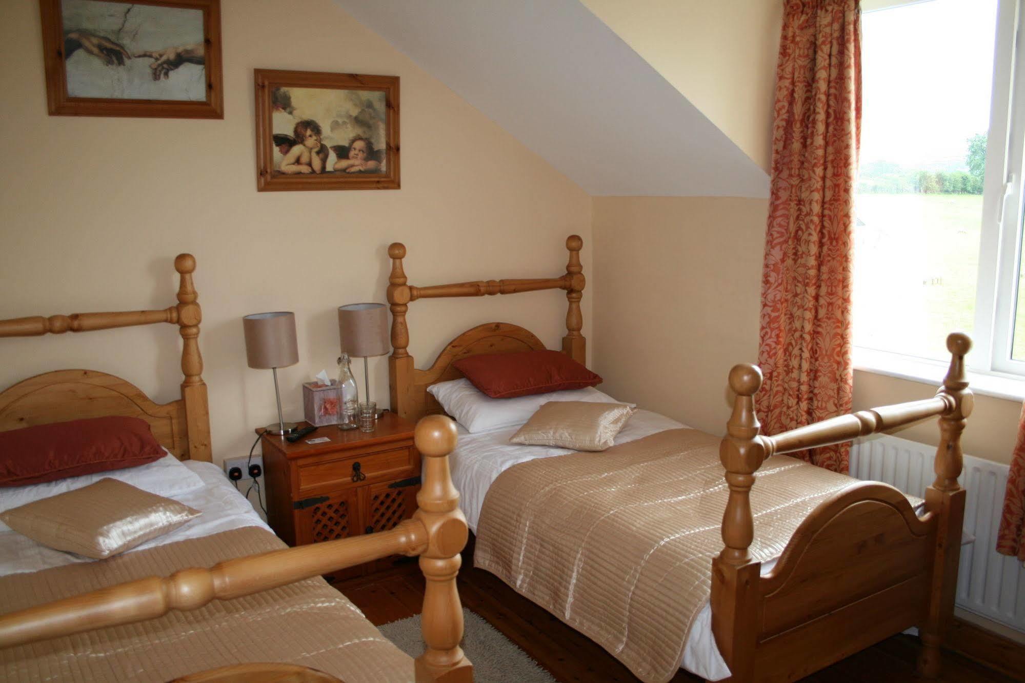 Brandon View House B&B Graiguenamanagh Eksteriør bilde