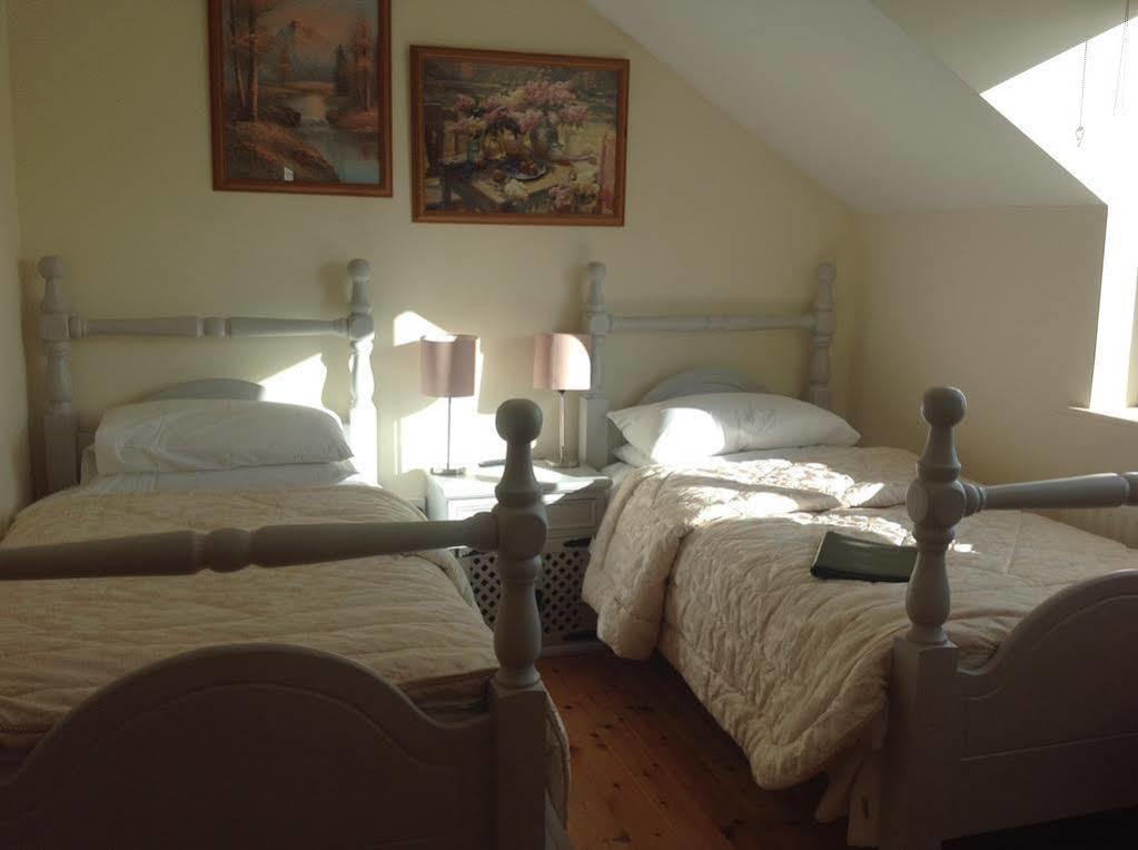 Brandon View House B&B Graiguenamanagh Eksteriør bilde