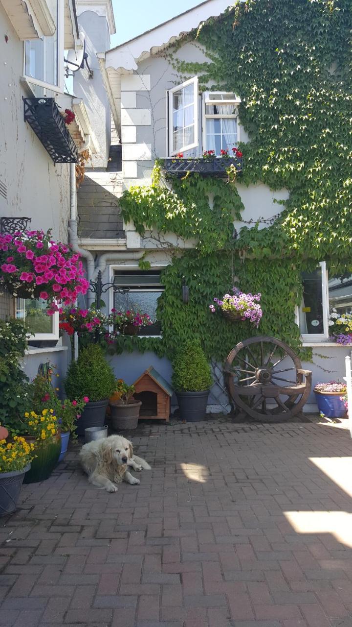 Brandon View House B&B Graiguenamanagh Eksteriør bilde