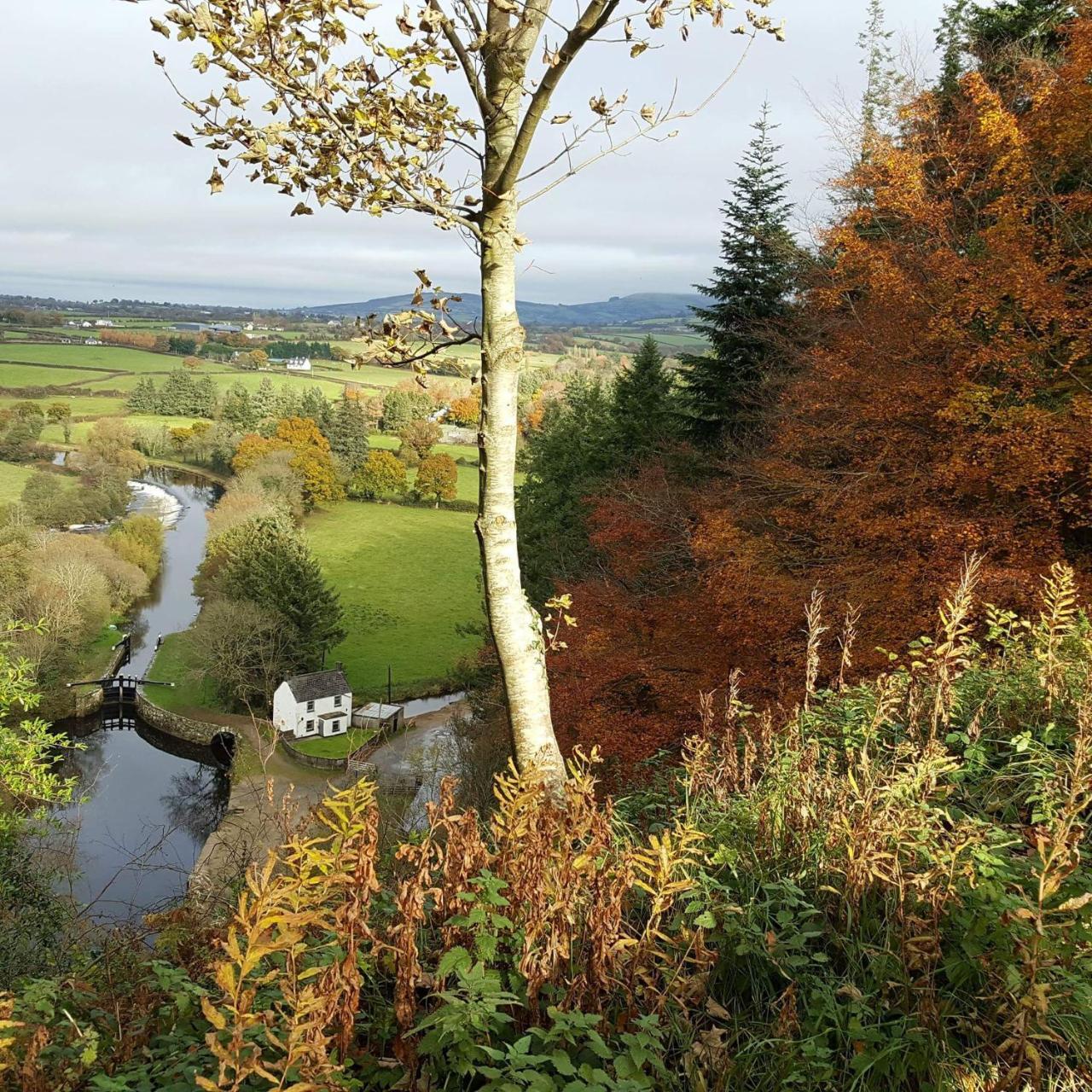 Brandon View House B&B Graiguenamanagh Eksteriør bilde